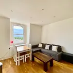 Bright, Modern Flat In Brixton